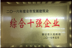 綜合十強(qiáng)企業(yè)